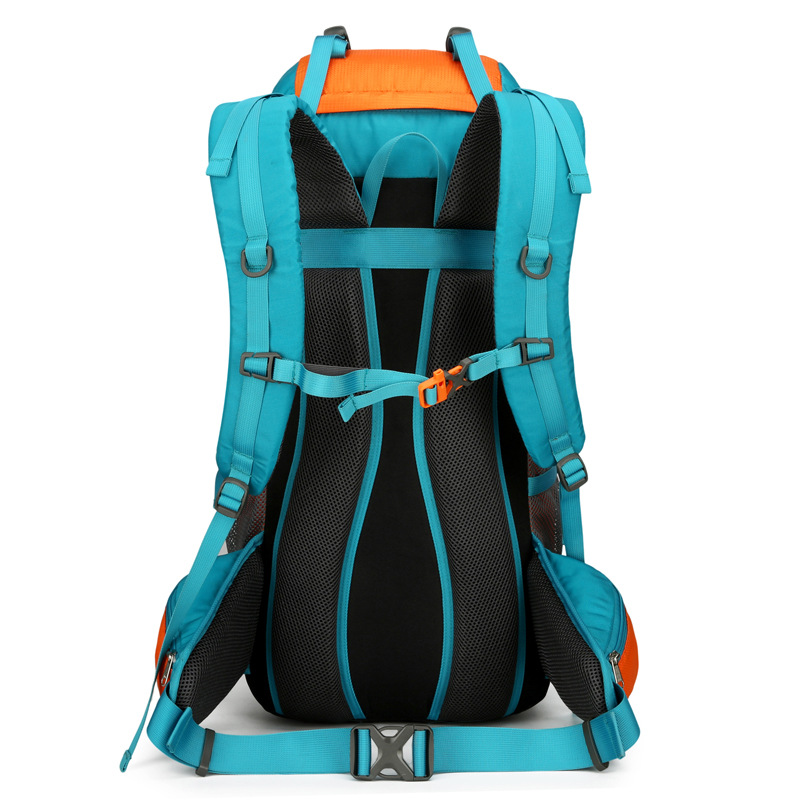 65L 대용량 방수 하이킹 배낭 통기성 야외 등산 가방 - Outdoor Camping Warehouse 리뷰 및 가격