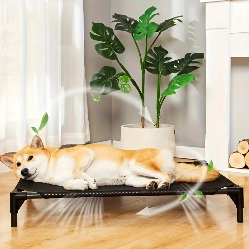 냉각 강화 개 침대 - 개, 고양이용으로 높이 조절,  - Outdoor Camping Cot 리뷰 및 가격