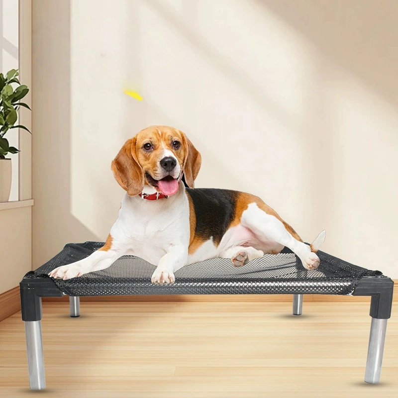 냉각 강화 개 침대 - 개, 고양이용으로 높이 조절,  - Outdoor Camping Cot 리뷰 및 가격