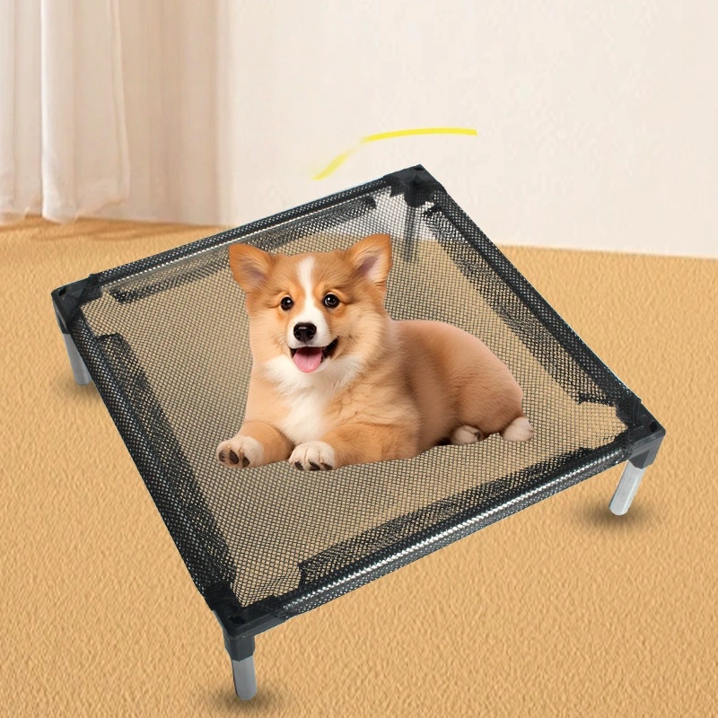 냉각 강화 개 침대 - 개, 고양이용으로 높이 조절,  - Outdoor Camping Cot 리뷰 및 가격